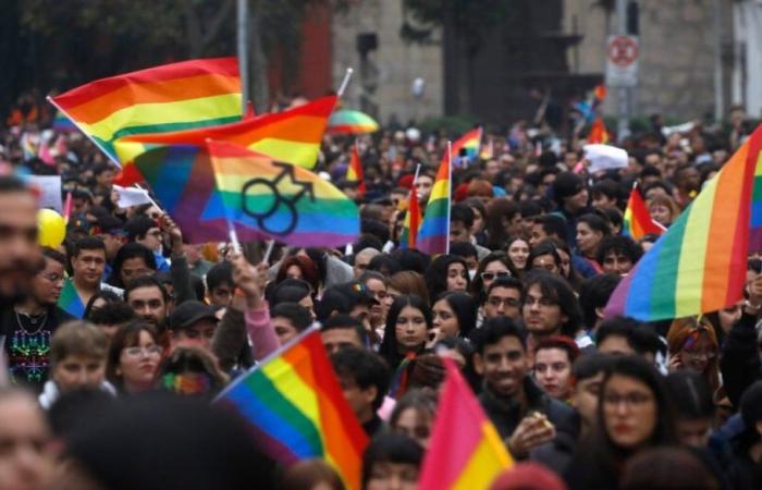 Pride Month: 60 % befürworten, dass die Krankenversicherung in Chile den Geschlechtsübergang abdecken sollte