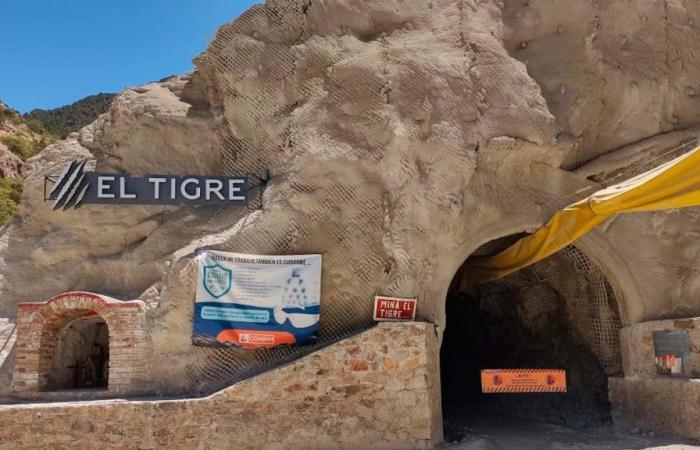 Silver Tiger: neues hochgradiges Goldmineralisierungsprojekt El Tigre