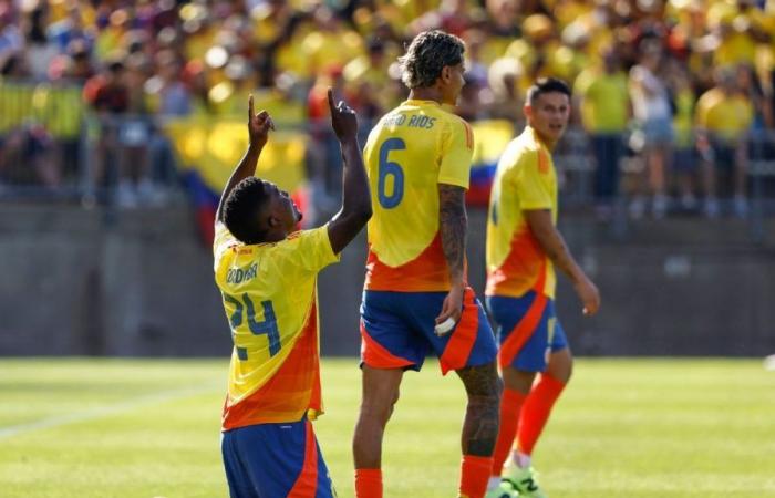 Wer könnte die große Überraschung für die kolumbianische Nationalmannschaft bei der Copa América sein?