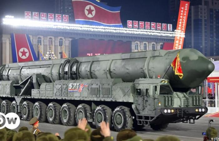 Japan: Das Bündnis zwischen Moskau und Pjöngjang verschlechtert die regionale Sicherheit – DW – 20.06.2024