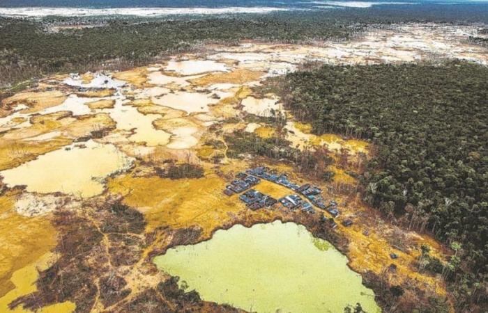 Die unstillbare globale Nachfrage nach Gold verwüstet den Amazonas in Peru