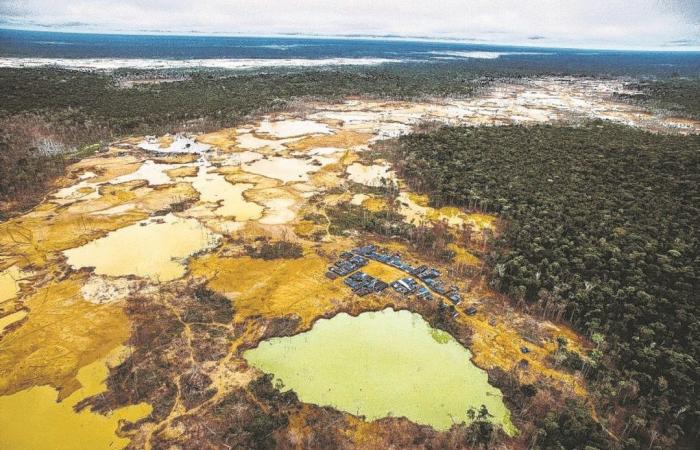 Die unstillbare globale Nachfrage nach Gold verwüstet den Amazonas in Peru