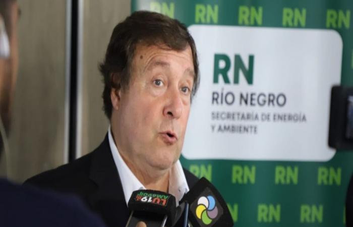 Río Negro: „Trucho“-Zertifikate an den Staat, ein Betrug von mehr als 400 Millionen US-Dollar