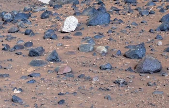 Dies sind die seltenen Steine, die noch nie zuvor auf dem Mars gesehen wurden und vom Perseverance-Rover der NASA eingefangen wurden