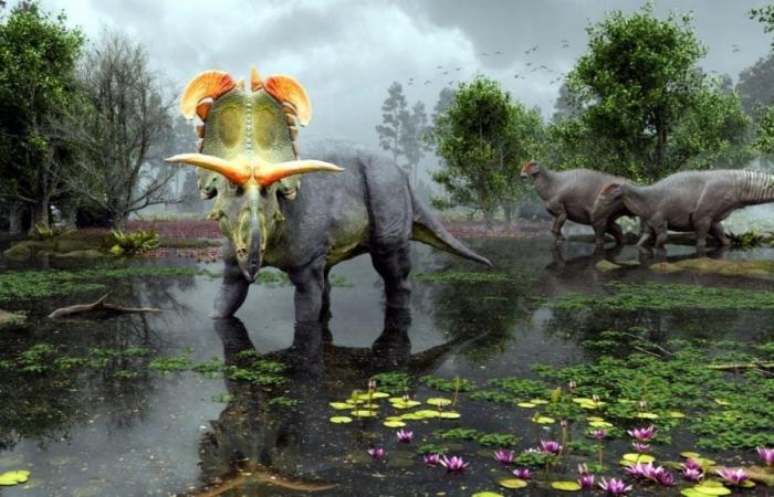 Unerhörter Fund: neuer pflanzenfressender Dinosaurier mit sehr extravaganten Hörnern