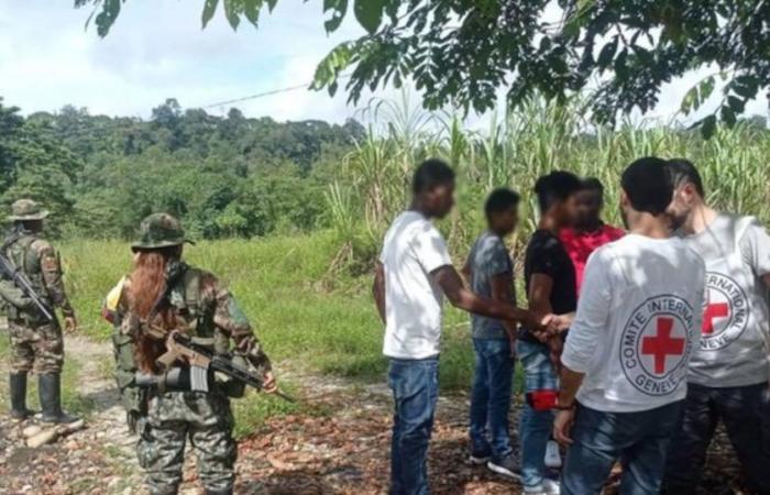 Acht FARC-Dissidenten, darunter Minderjährige, ergaben sich in Cauca – Publimetro Colombia