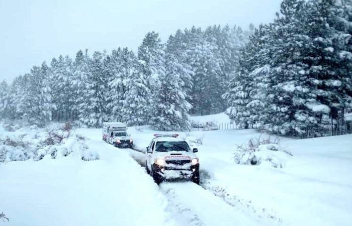 Schneesturm in Neuquén: Die ländlichen Gebiete im Norden warten auf einen Wetterstillstand