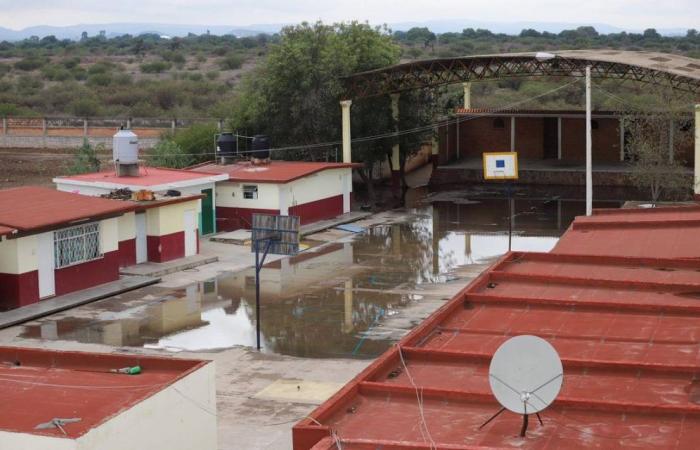 Regenfälle zeigen Verschlechterung der Grundschule von Graciano Sánchez – El Sol de San Luis