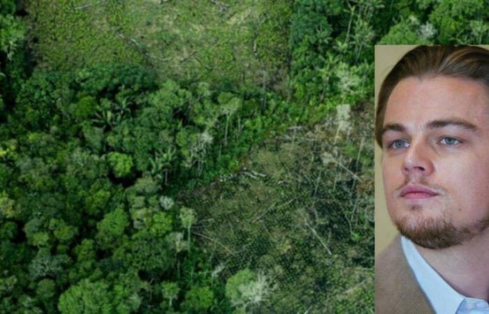 Der von Leonardo DiCaprio unterstützte Gesetzentwurf, der die Abholzung im Amazonasgebiet stoppen wollte, sank
