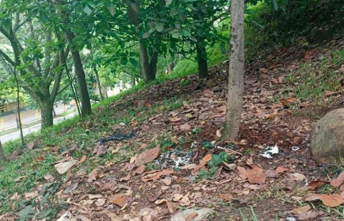 Sie fanden eine tote Person mit mehreren Verbrennungen in einer Grünfläche im Stadtteil Floresta in Medellín