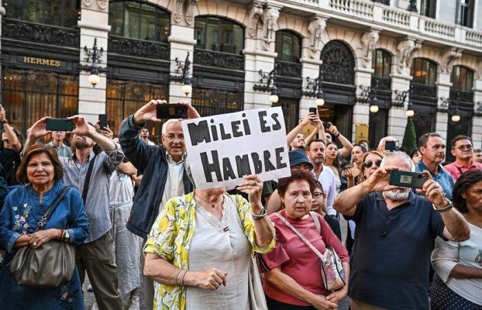 Ablehnung und Applaus: Konzentrationskonflikte wegen Mileis Besuch in Madrid | Hunderte Demonstranten versammelten sich auf der Puerta del Sol