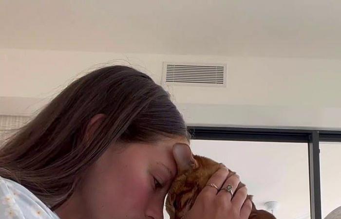 Die Gold Coast-Influencerin bricht in Tränen aus, als sie endlich wieder mit ihrer geliebten Bengalkatze vereint ist, nachdem er „gestohlen“ wurde und monatelang vermisst wurde.
