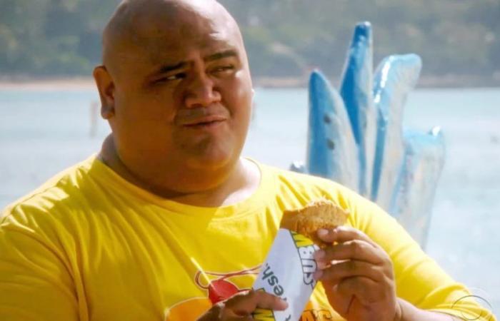 Taylor Wily, Star der Serien „Hawaii Five-0“ und „Magnum, PI“, ist gestorben