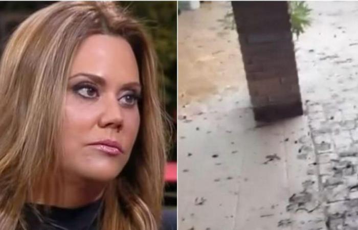 Daniella Campos hat online einen kontroversen Beitrag über Überschwemmungen in ihrem Haus gepostet: Sie hat ihn innerhalb von Minuten gelöscht
