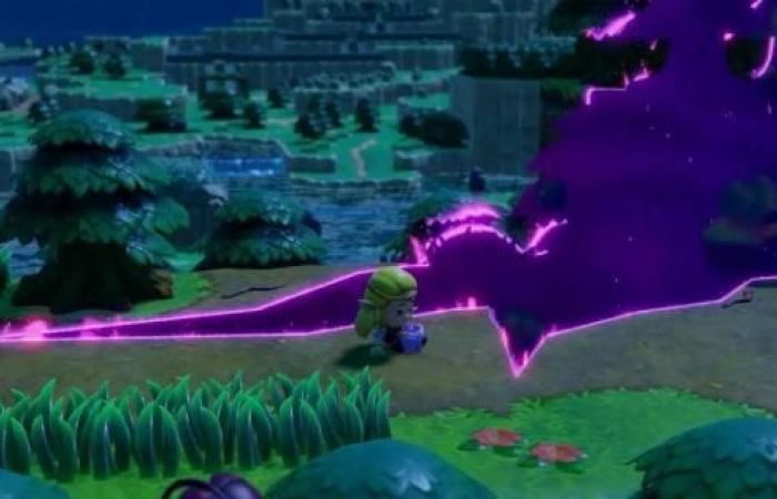 The Legend of Zelda: Echoes of Wisdom bestätigt sein Gewicht auf Nintendo Switch