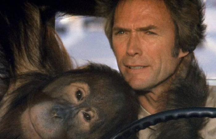„Alle haben mich angefleht, diesen Film nicht zu machen“: Clint Eastwood ignorierte alle und erzielte den besten Erfolg seiner Karriere – Movie News