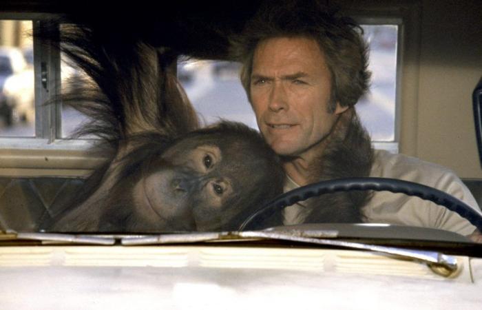 Der Film von Clint Eastwood, dem niemand vertraute