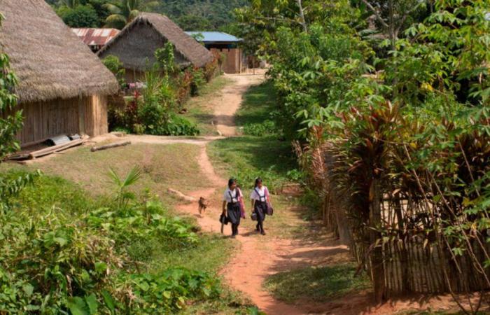 Amazonas: 532 Mädchen misshandelt und nur 112 Lehrer entlassen|Bildungsministerium | Awajun | Gesellschaft