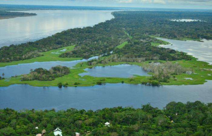 Tarapoto-Seen: Wenn der Tourismus eine der am besten erhaltenen Stätten im Amazonasgebiet bedroht