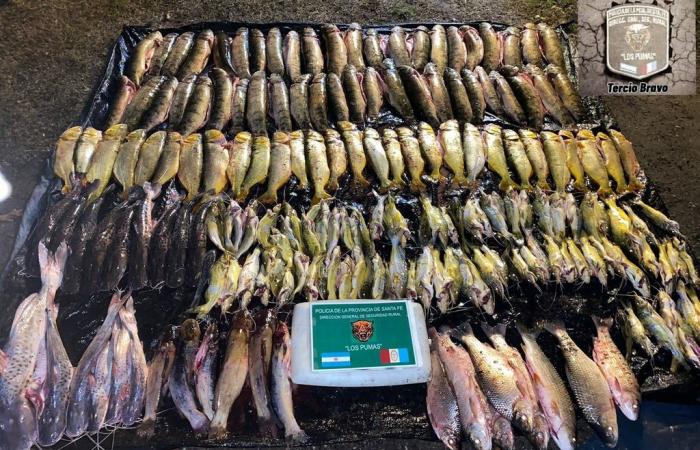 Mehrere Einsätze gegen illegale Jagd und Fischerei : : Mirador Provincial : : Santa Fe News