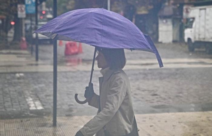 Regenvorhersage für Montag, 24. Juni: In welchen Gebieten wird es Niederschlag geben?