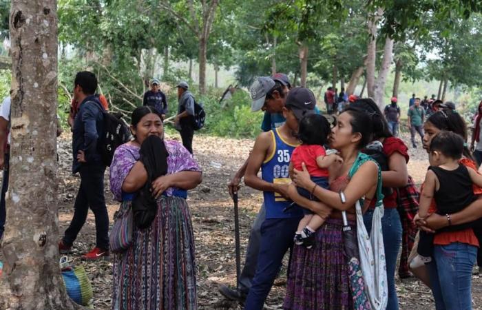 Gemeinden in Guatemala sind weiterhin von Zwangsräumungen betroffen (+Fotos)