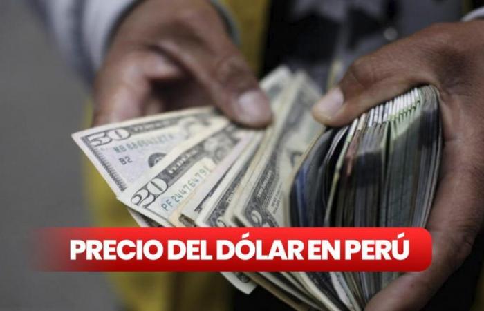 Schauen Sie, der Dollarpreis HEUTE in Peru: So wurde der Wechselkurs laut BCR an diesem Montag, dem 24. Juni, für den Kauf und Verkauf geöffnet | Dollar-Trend | Dollar-Witz | Sunat-Dollar | Dollarpreis