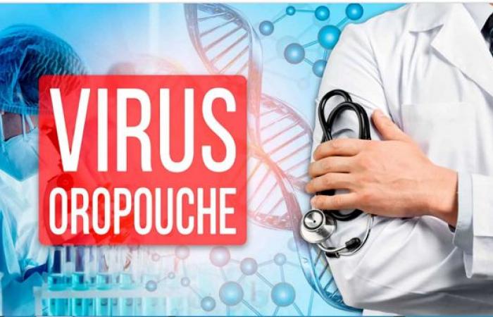 Oropouche-Fieber löst in Ciego de Ávila Alarm aus