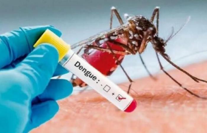 Huila, das vierte Departement mit den meisten Dengue-Fällen • La Nación