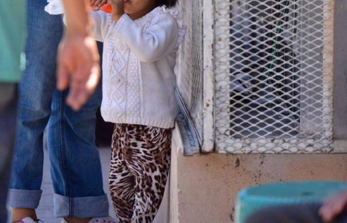 Städtisches DIF, ohne Berichte über Kinderarbeitsausbeutung in SLP – El Sol de San Luis