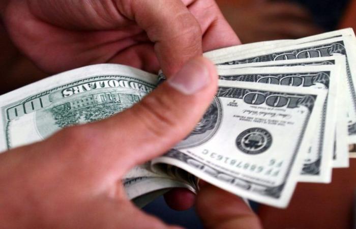 Blauer Dollar in Neuquén: Wie viel wird an diesem Montag, dem 24. Juni 2024, verkauft?