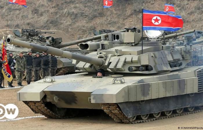 Seoul, Tokio und Washington verurteilen den Pjöngjang-Moskau-Pakt – DW – 24.06.2024