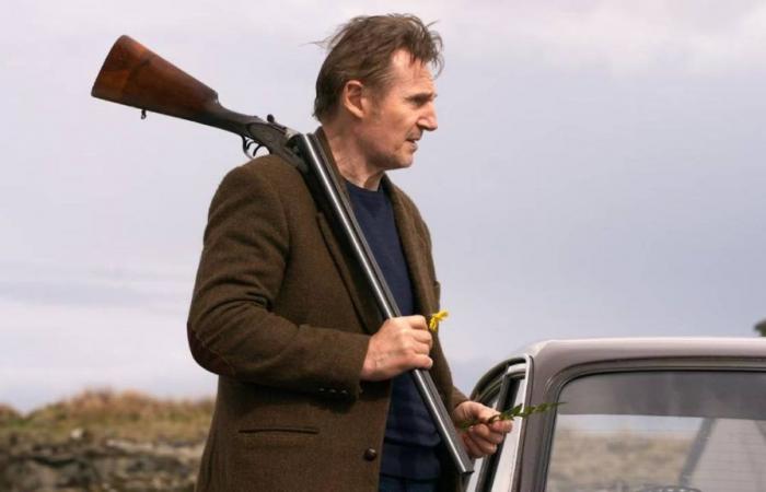 Die Action mit Liam Neeson war schon lange nicht mehr so ​​gut: Der neue Hit des „Revenge“-Stars kommt nach Spanien – Filmnachrichten