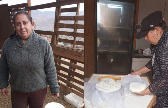 Der Ziegenkäse-Unternehmer, der in der Stadt Lambert in La Serena – El Serenense – auffällt