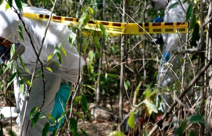 Eine Frau wurde in einem Waldgebiet im Stadtteil La Cumbre in Floridablanca ermordet