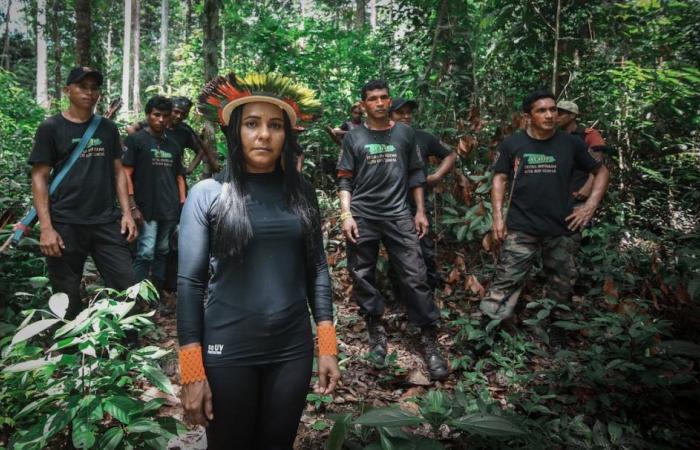 Indigene Ranger sind im Amazonasgebiet von der Abholzung bedroht | Zukünftiges Amerika