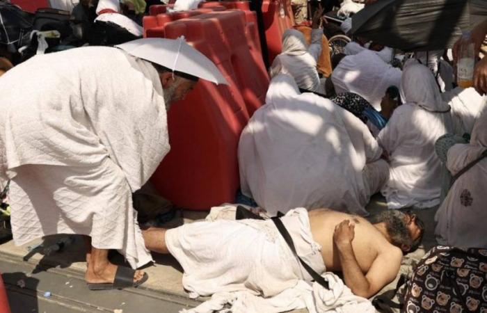 Mehr als 1.300 Tote während der Hadsch-Wallfahrt nach Mekka in Saudi-Arabien aufgrund großer Hitze