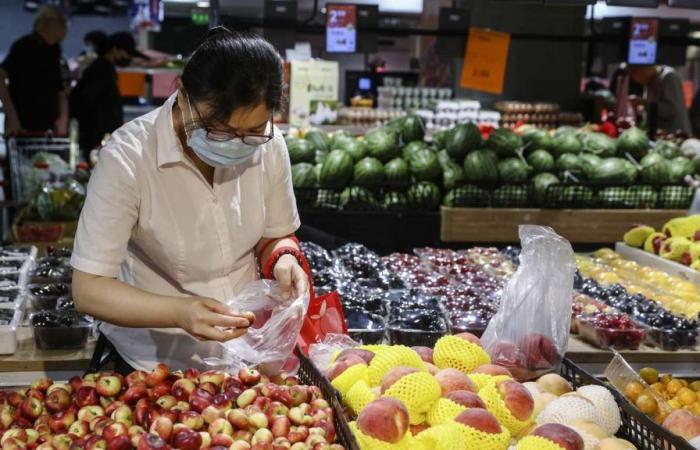China und sein Appetit auf kolumbianische Exporte: So läuft der Handel im Jahr 2024 | Kolumbien Nachrichten