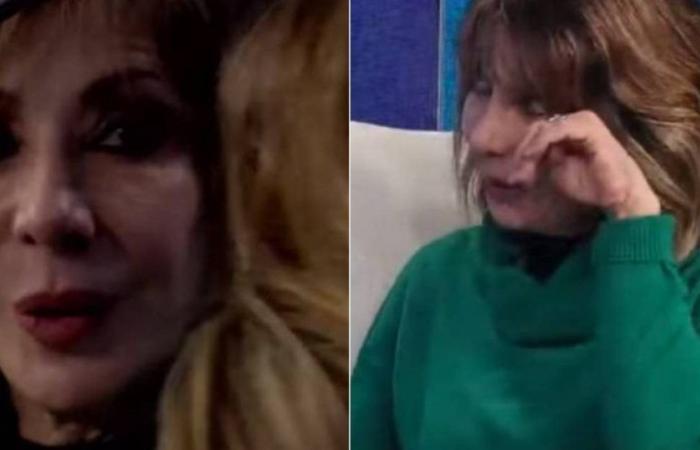 „Im Fernsehen weine ich nie“: Cristina Tocco konnte ihre Tränen nicht zurückhalten und brach mitten in der Sendung zusammen
