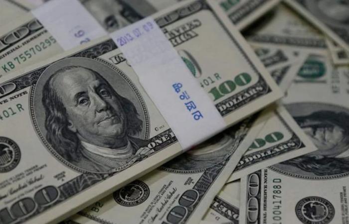 Der Dominikanische Peso schloss am 24. Juni mit Verlusten gegenüber dem Dollar