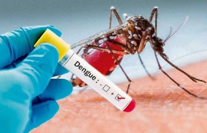 Der Gesundheitsnotstand aufgrund von Dengue-Fieber wird im Ausschuss für epidemiologische Überwachung in Casanare aufrechterhalten