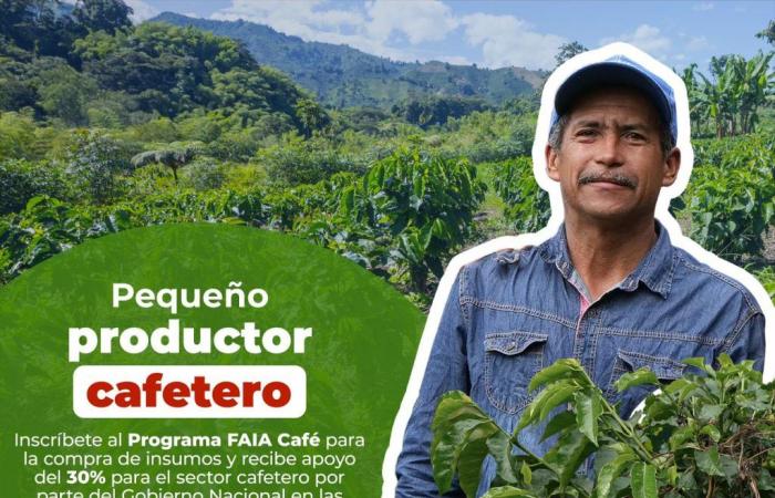 Kleine Kaffeebauern in Manizales erhalten 30 % Rabatt auf den Kauf von Betriebsmitteln: Das Landwirtschaftsministerium hat die Ausschreibung eröffnet