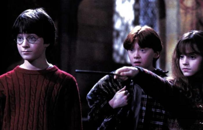 Daniel Radcliffes einziger Wunsch für die neue „Harry Potter“-Reihe