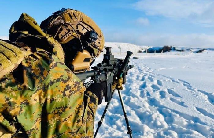 Mehr als tausend Soldaten chilenischer und US-amerikanischer Spezialeinheiten beginnen mit der Übung „Pacific Dagger“ in der Magallanes-Region und der Antarktis