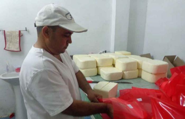 Mérida-Käse, ein hochwertiges Produkt in Kuba (+Fotos)