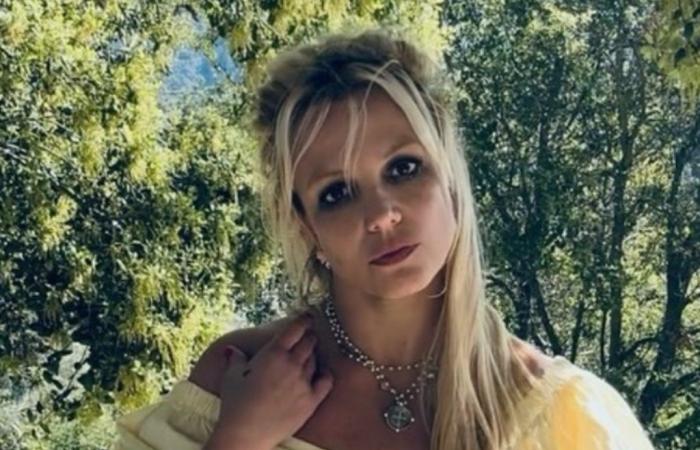 Britney Spears fühlt sich als „am meisten belästigte Person der Welt“