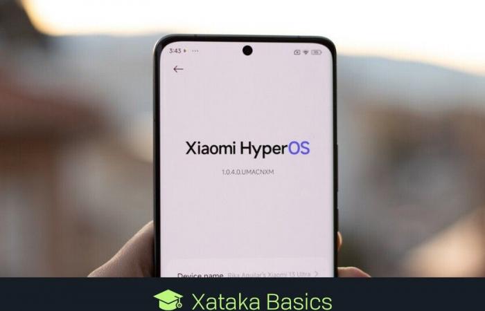 So greifen Sie auf das geheime Menü von Xiaomi zu, um herauszufinden, ob Ihr Telefon mit HyperOS ordnungsgemäß funktioniert