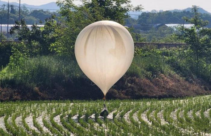 Nordkorea schickt weiterhin Ballons mit Müll in den Süden