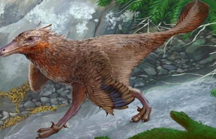 Wissenschaftliche Entdeckung in Patagonien: Sie fanden einen neuen, mit Vögeln verwandten Dinosaurier