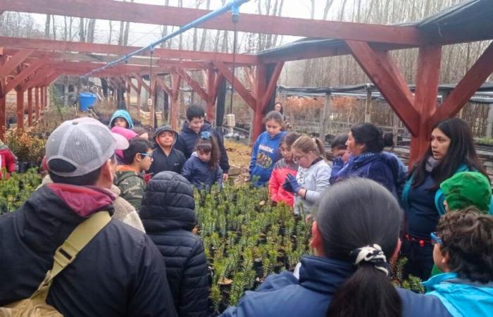 Cochrane-Studenten wurden dank CONAF Aysén in Umwelterziehung geschult